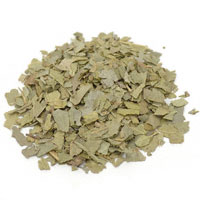 Boldo Leaf 1/2 Oz. (Peumus boldus)