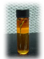 Fall Equinox Spiritual Oil