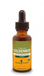 Goldenrod Extract 1 Oz.