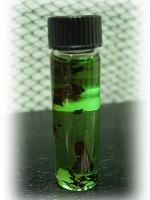 Pan Spiritual Oil