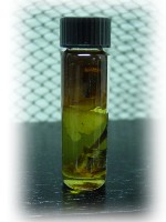 Spring Equinox  Spiritual Oil